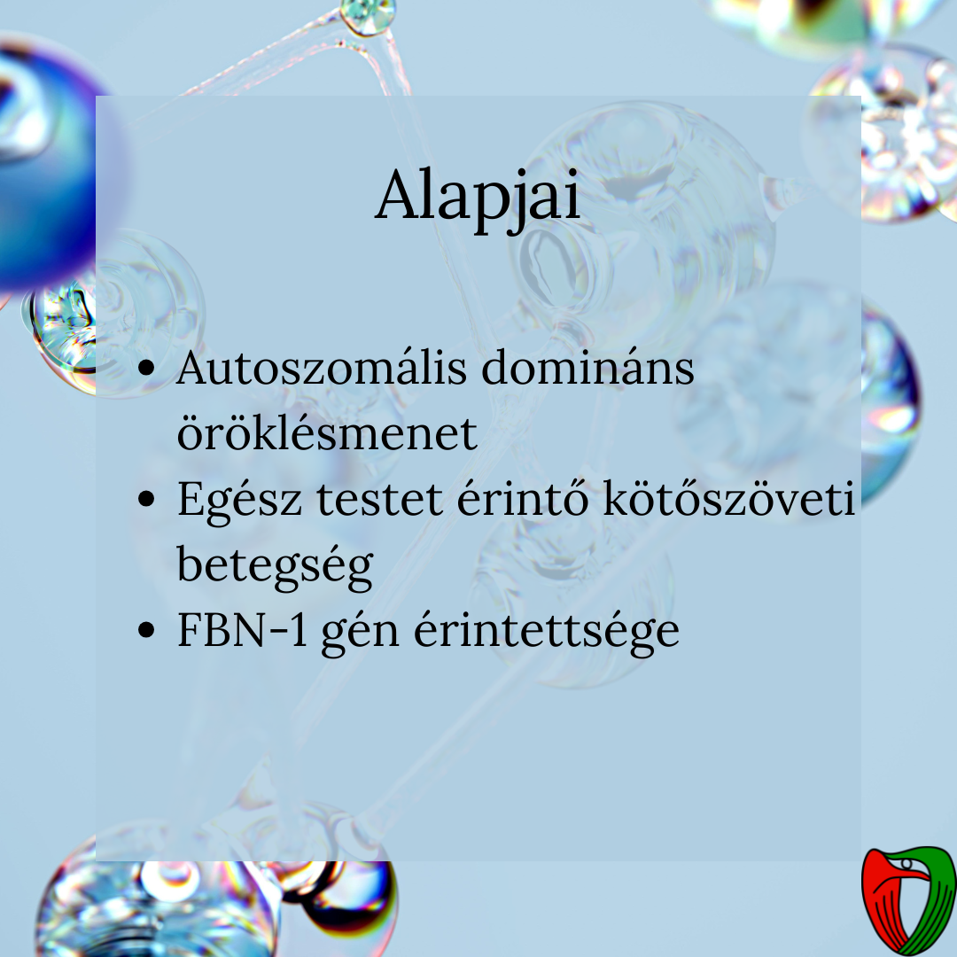 A Marfan-szindrma egy ritka genetikai, ktszveti betegsg. Kialakulsban a fibrillin-1 (FBN-1) gn kros rintettsge jtszik kzponti szerepet.