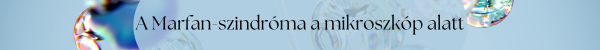 A Marfan-szindr�ma a mikroszk�p alatt