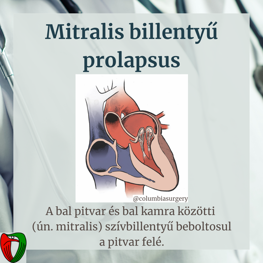 Mit nem l�thatunk?