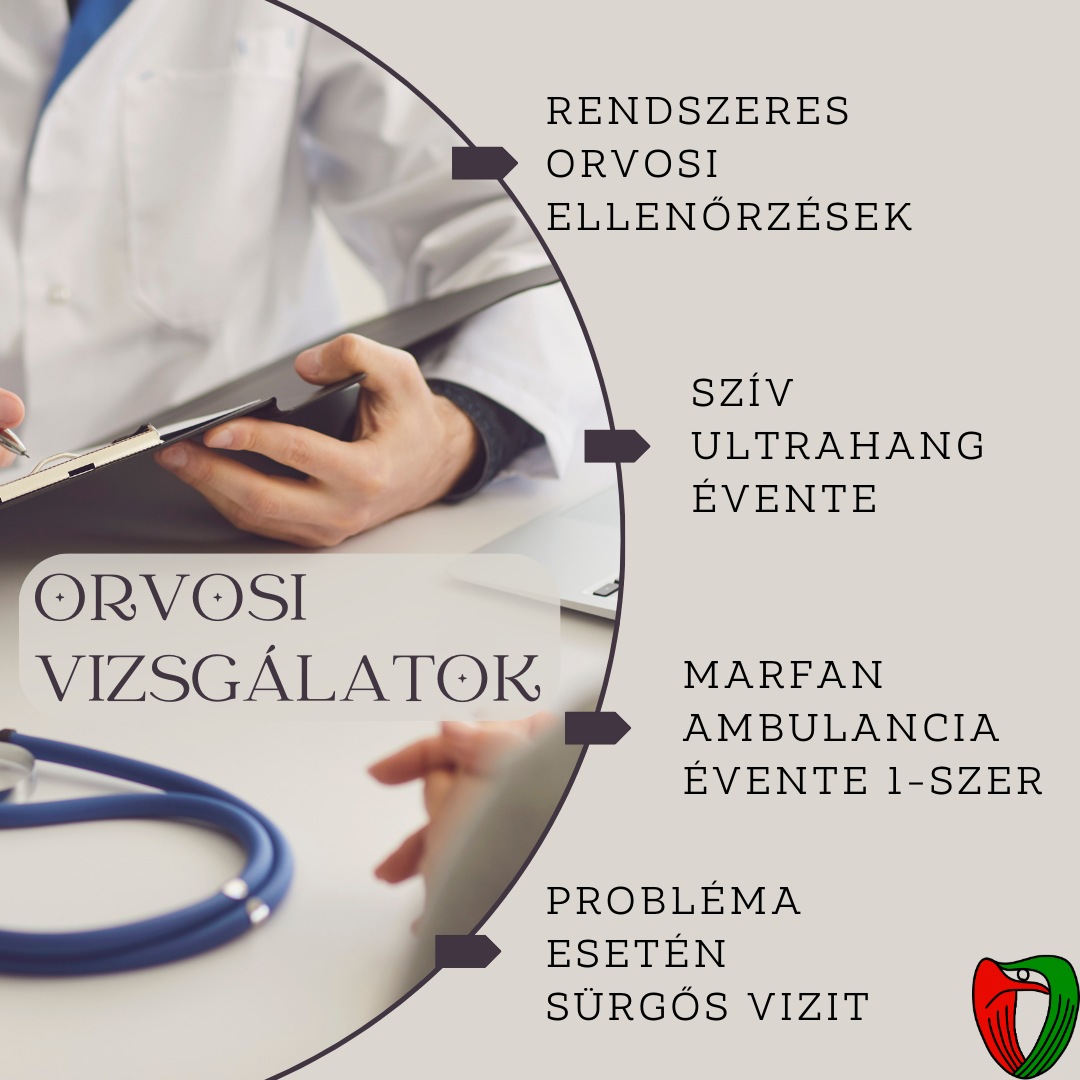 A Marfan-szindr�ma v�gig k�veti egy ember eg�sz �let�t.
A rendszeres orvosi ellen�rz�s n�lk�l�zhetetlen egy Marfan-szindr�m�s egy�n �let�ben.