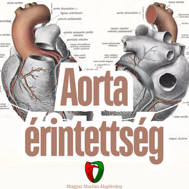 Aorta �rintetts�g