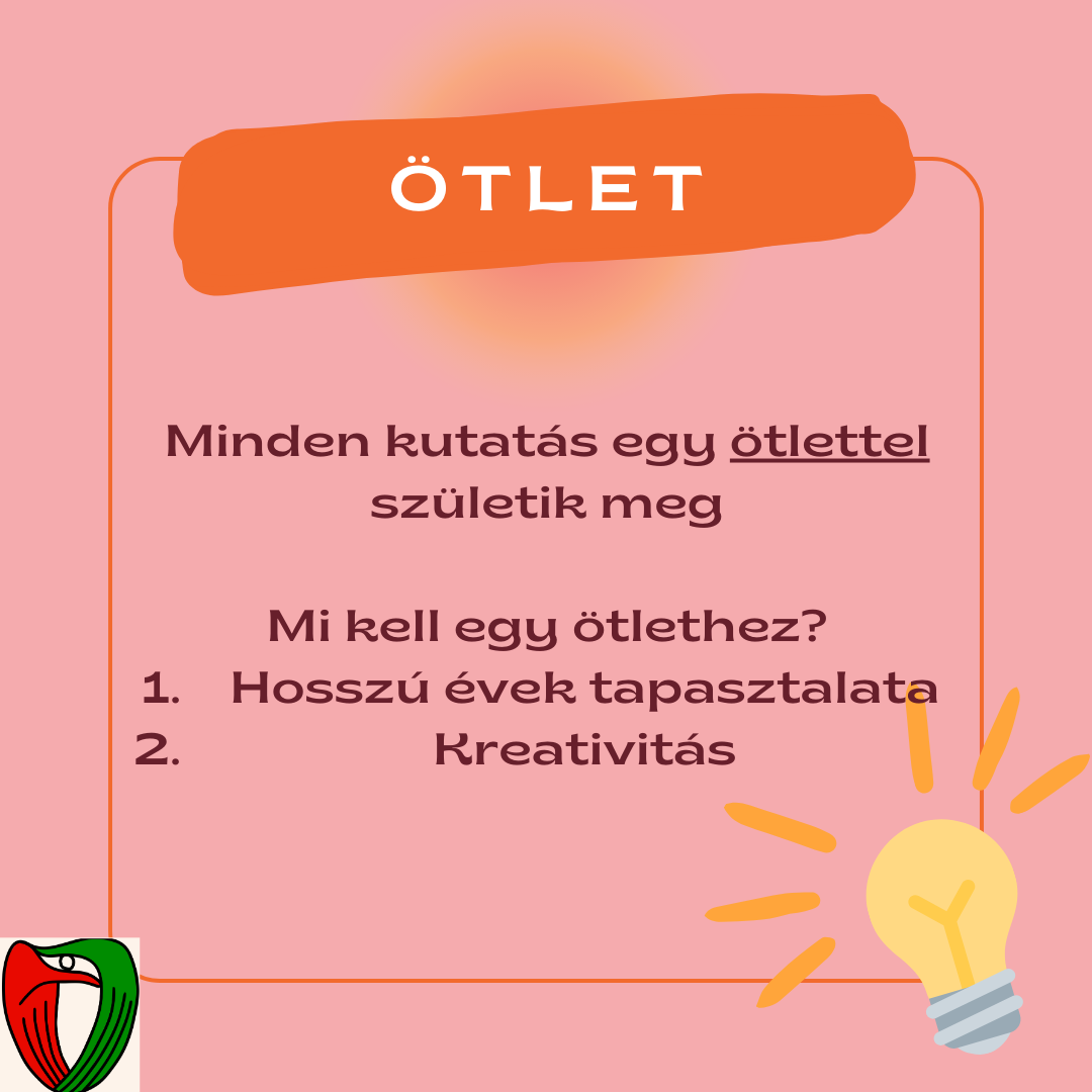 Egy kutat�s els�dleges l�p�se az �tlet megsz�let�se, mit is vizsg�ljunk?
Ehhez elengedhetetlen a munkatapasztalat �s a kreativit�s!