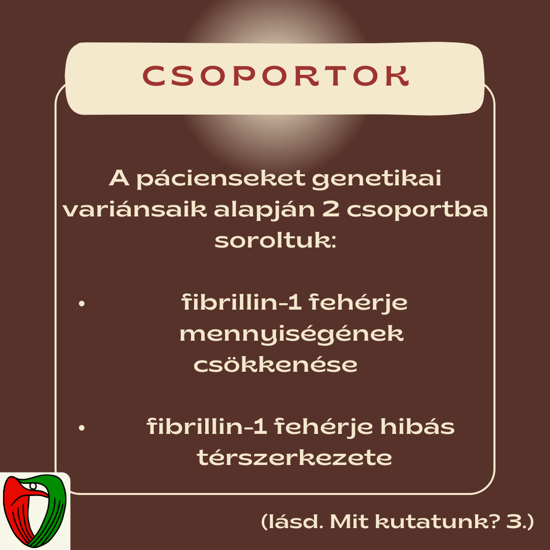 A szem�szeti vizsg�lat sor�n a betegek idegh�rty�j�r�l magas felbont�s� k�pet k�sz�tett�nk, amellyel a retina erezetts�ge (felsz�ni �s m�ly �rs�r�s�g), vastags�ga �s tov�bbi param�terek egyar�nt �rt�kelhet�ek voltak.